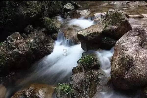 龙地逃生